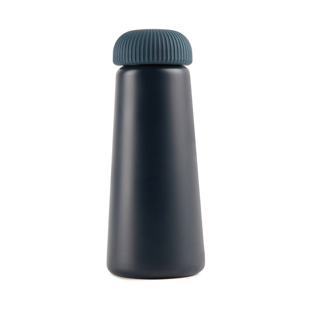 VINGA Erie RCS stalen vacuümfles 450ML - blauw (± PMS 2377C)