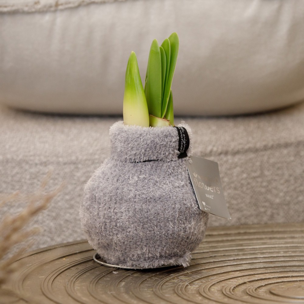 No Water Flowers® - Fashionz Cozy Fluffy mix, Zonder verpakking