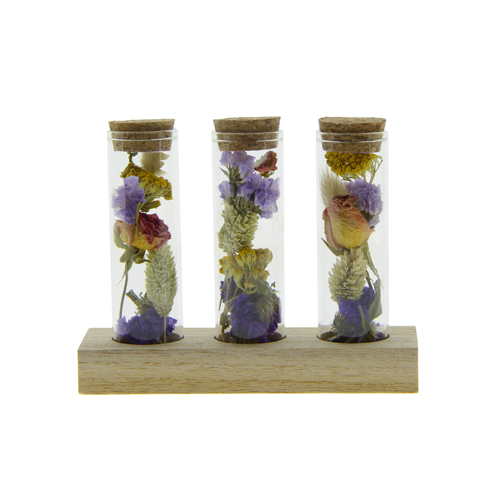 Dried Flowers - Trio tube & wood - Multicolor