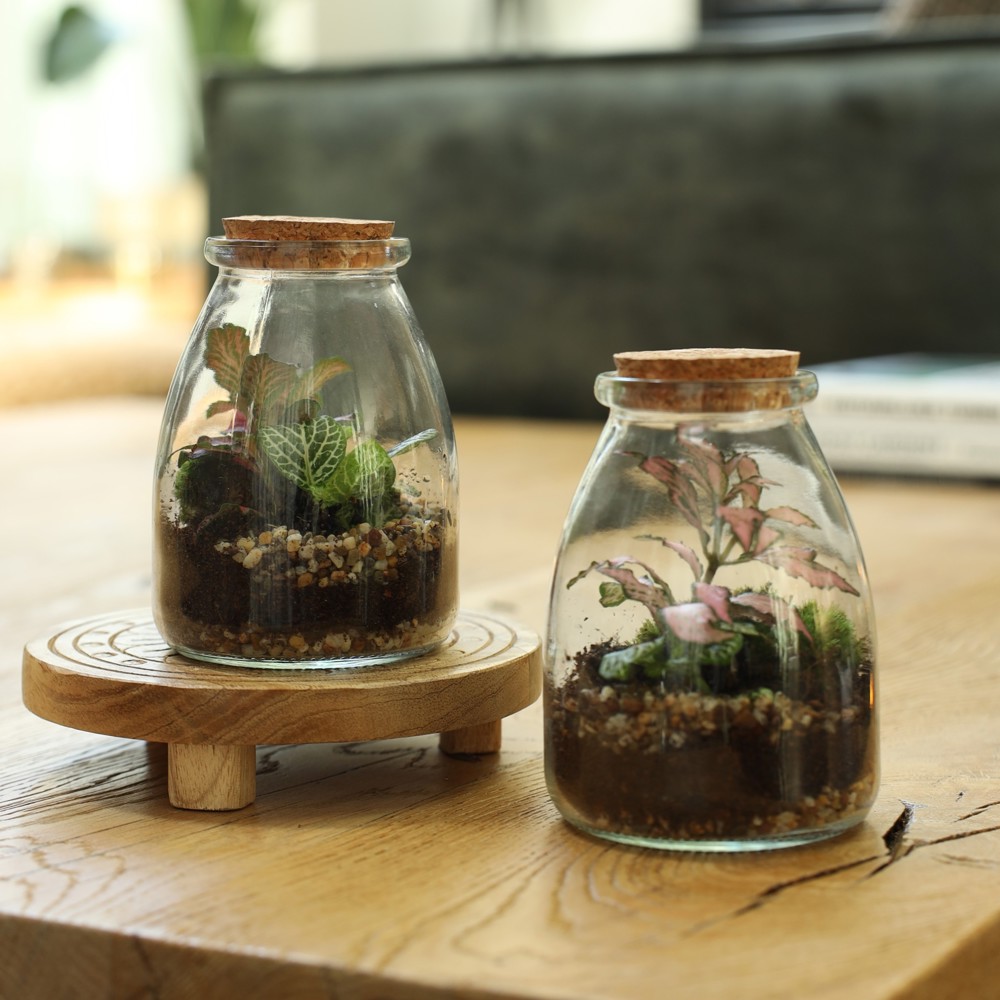 Wardians® Ecosystem - Bottle small, Zonder verpakking