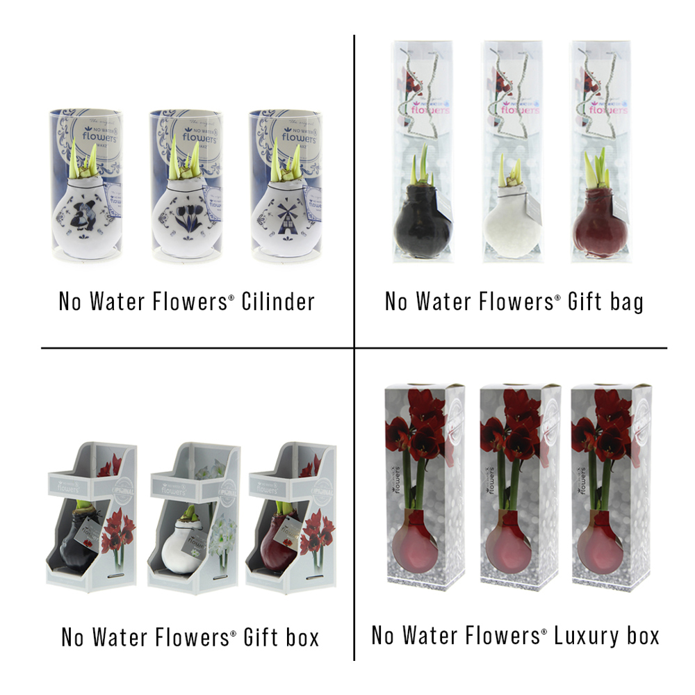 No Water Flowers® - Craftz Delft Blue mix, In giftbox