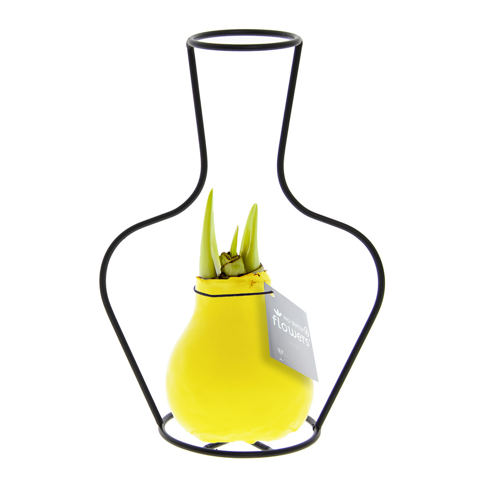 No Water Flowers® - Formz classic - Geel
