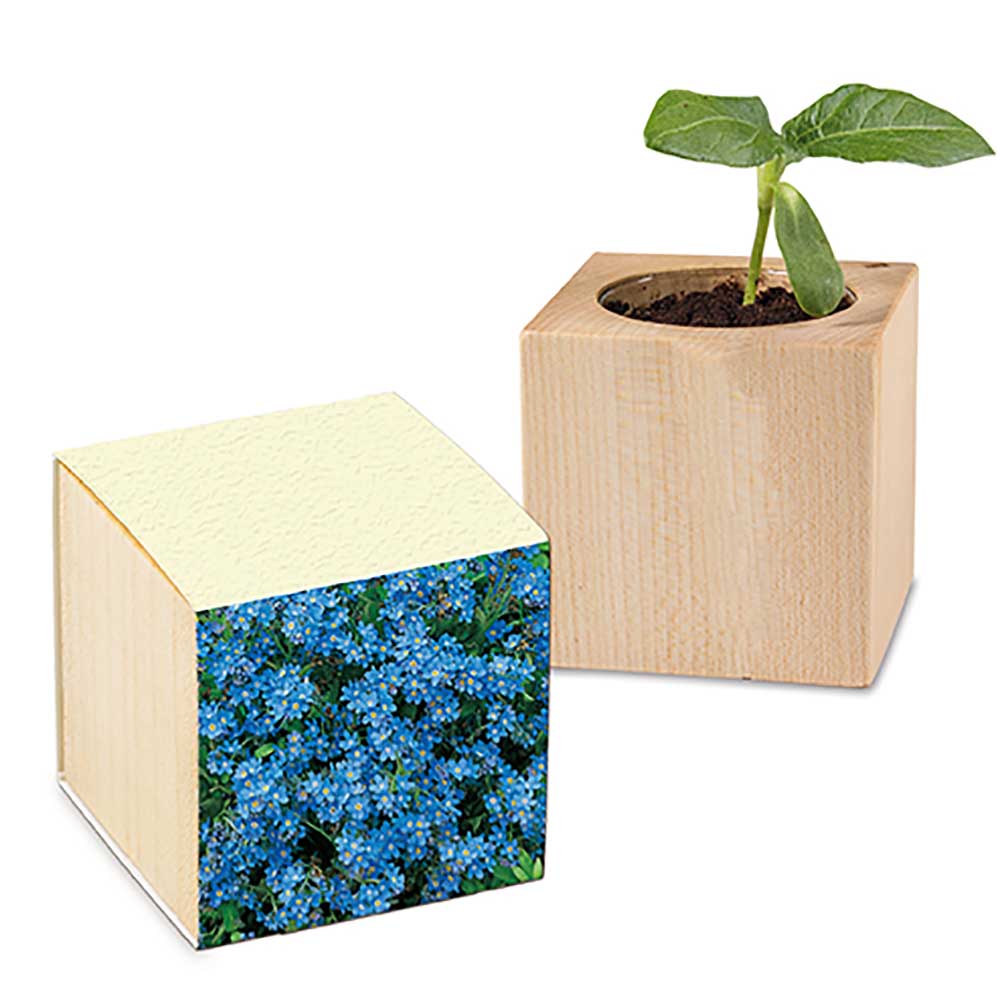 Plantenhout met zaden (papieren band van graspapier) - individueel