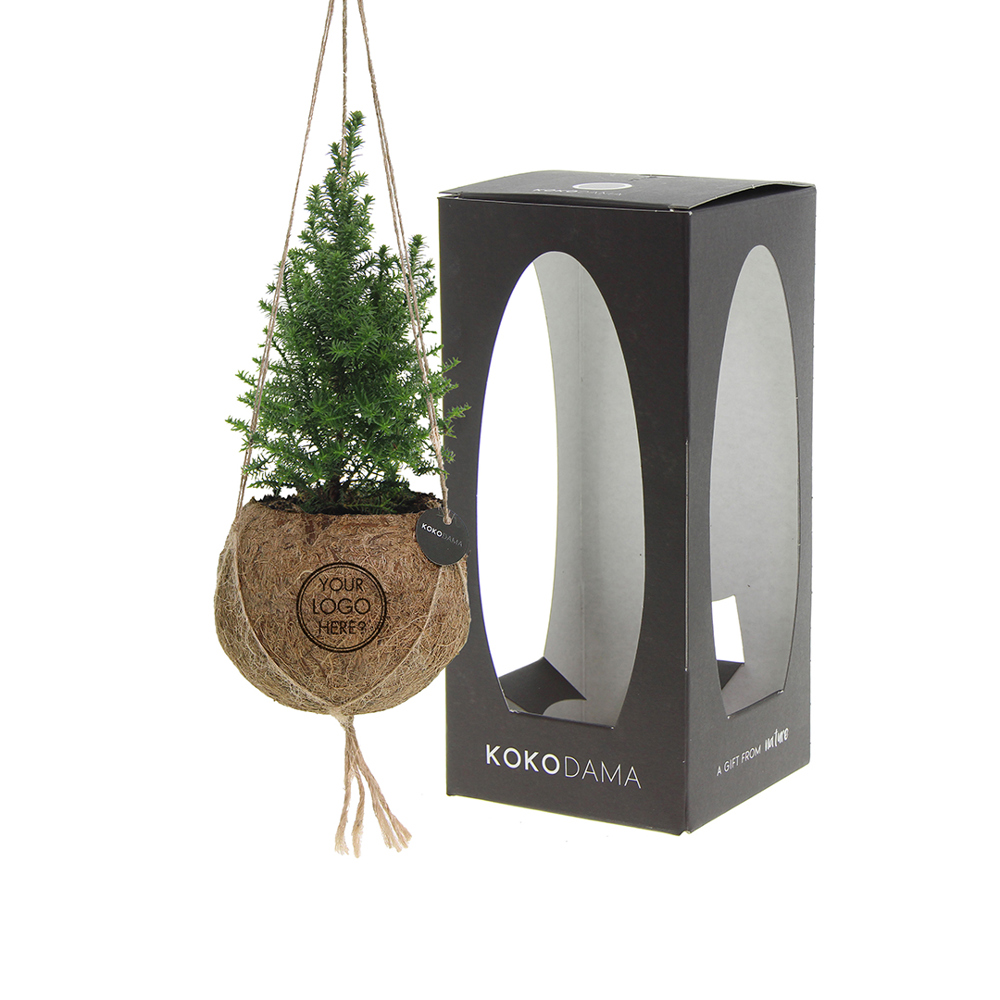 Kokodama® - Christmas tree (S)