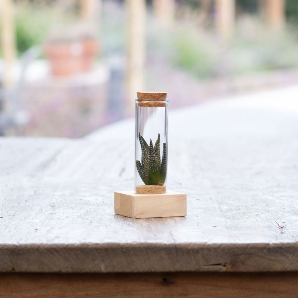 Tiny Treasurez® - Single tube & wood, Donker roze