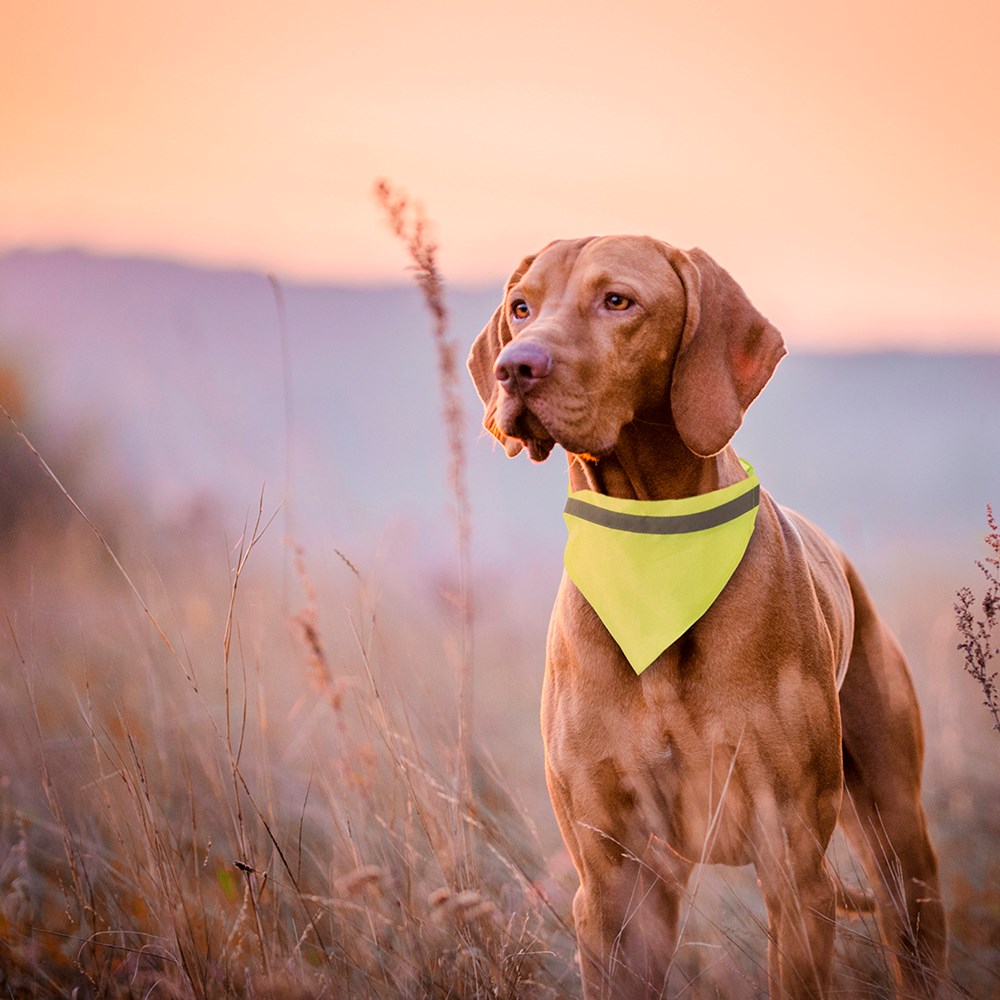 Dieren Halsdoek-Halsband Bipols