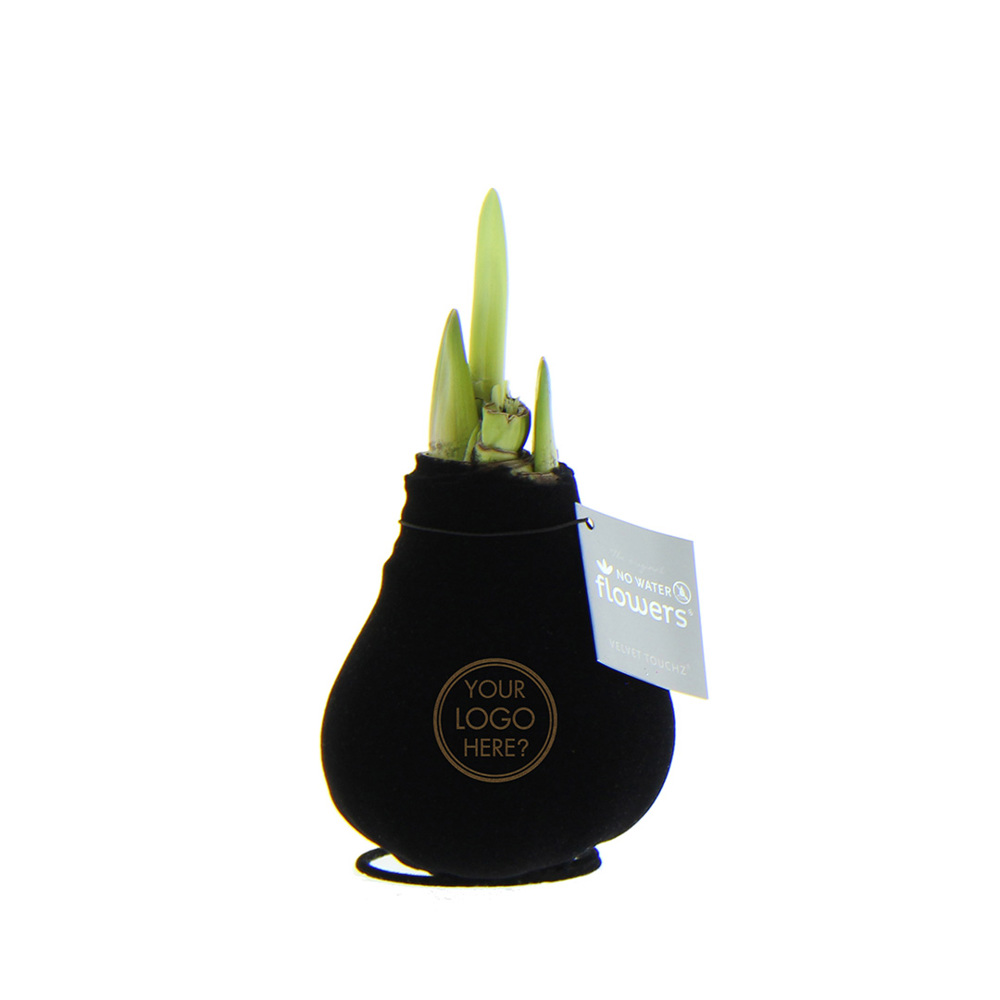 No Water Flowers® - Velvet Touchz® - zwart