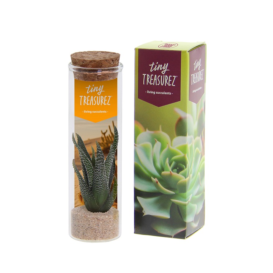 Tiny Treasurez® - Message in a bottle small, In giftbox, Blauw