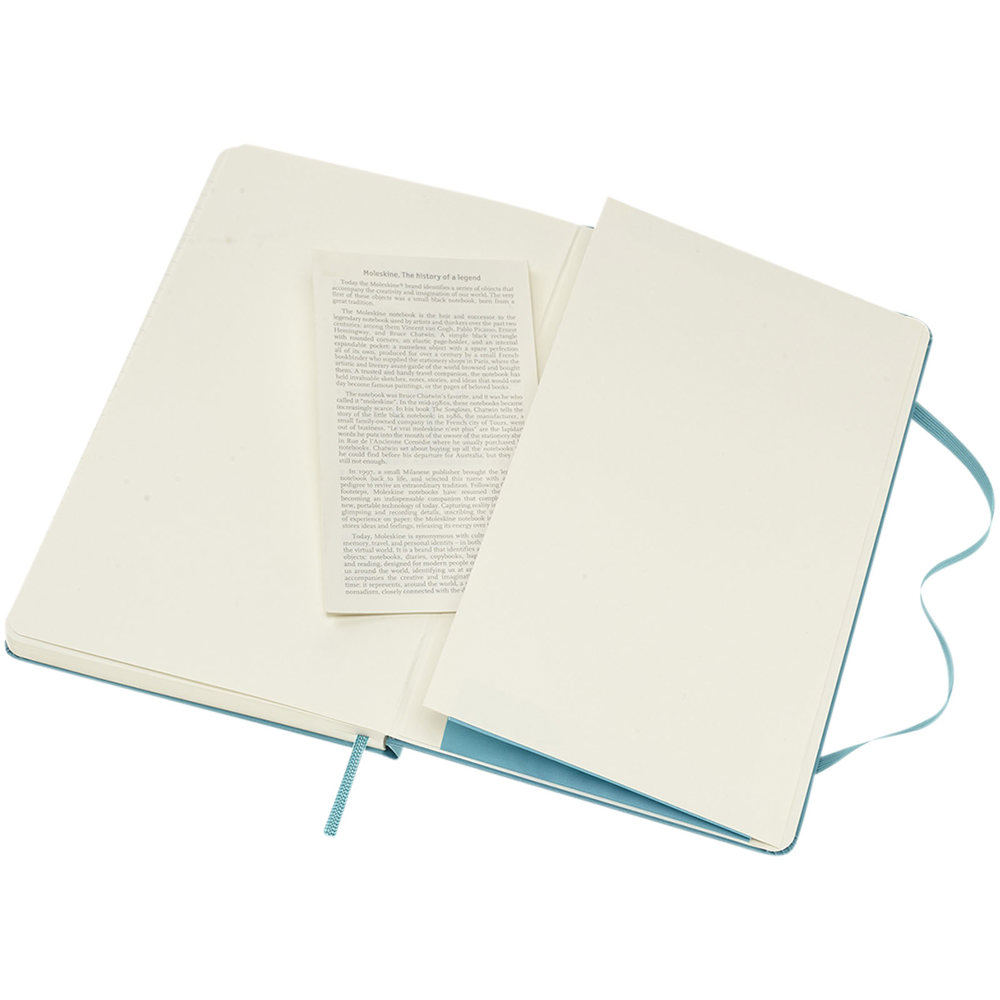Moleskine Classic L hardcover notitieboek - gelinieerd