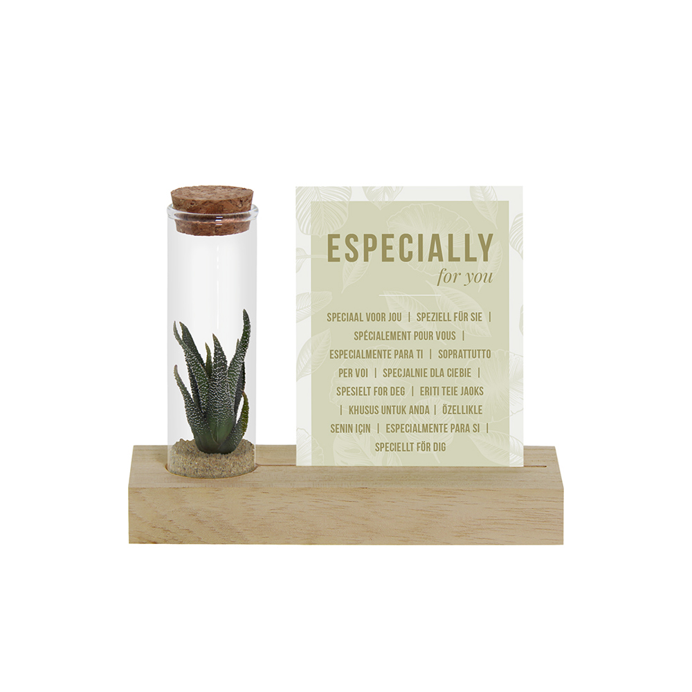 Tiny Treasurez® - Cardholder & tube - Natuurlijk