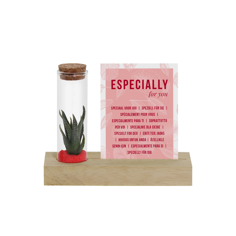 Tiny Treasurez® - Cardholder & tube - Rood