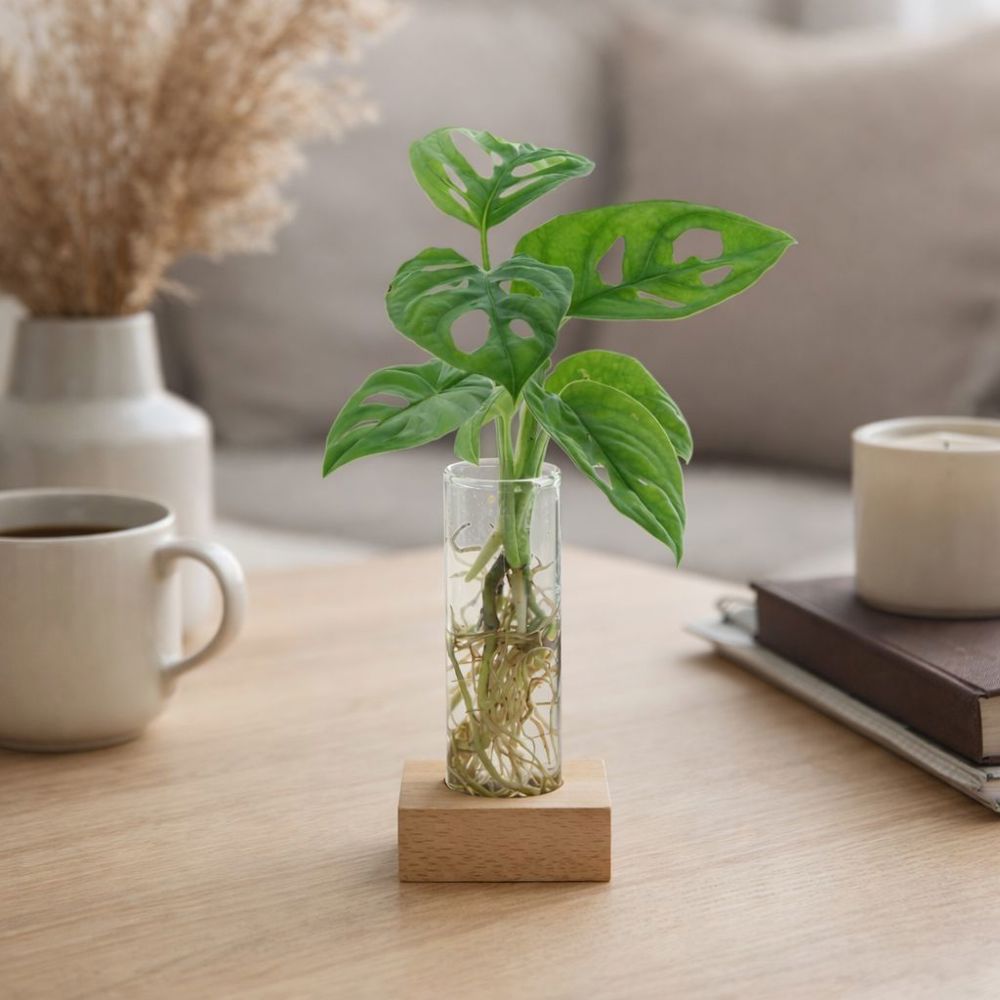 Hydroponic plants - Single tube & wood