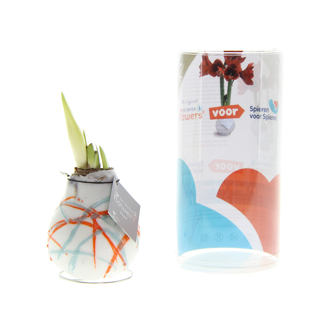 No Water Flowers® - Art, In giftbag