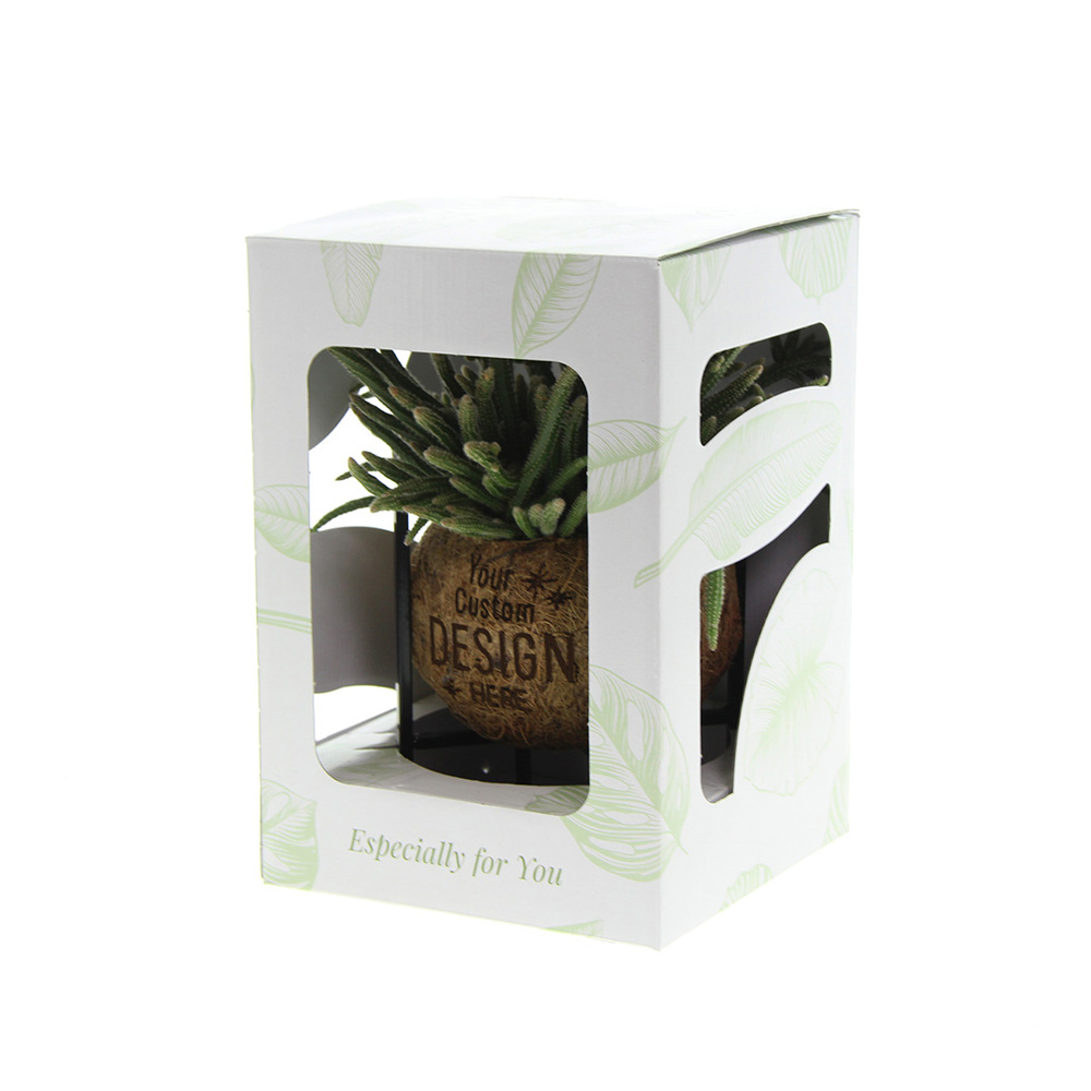 Kokodama® - Industrial easy green mix (M), In giftbox