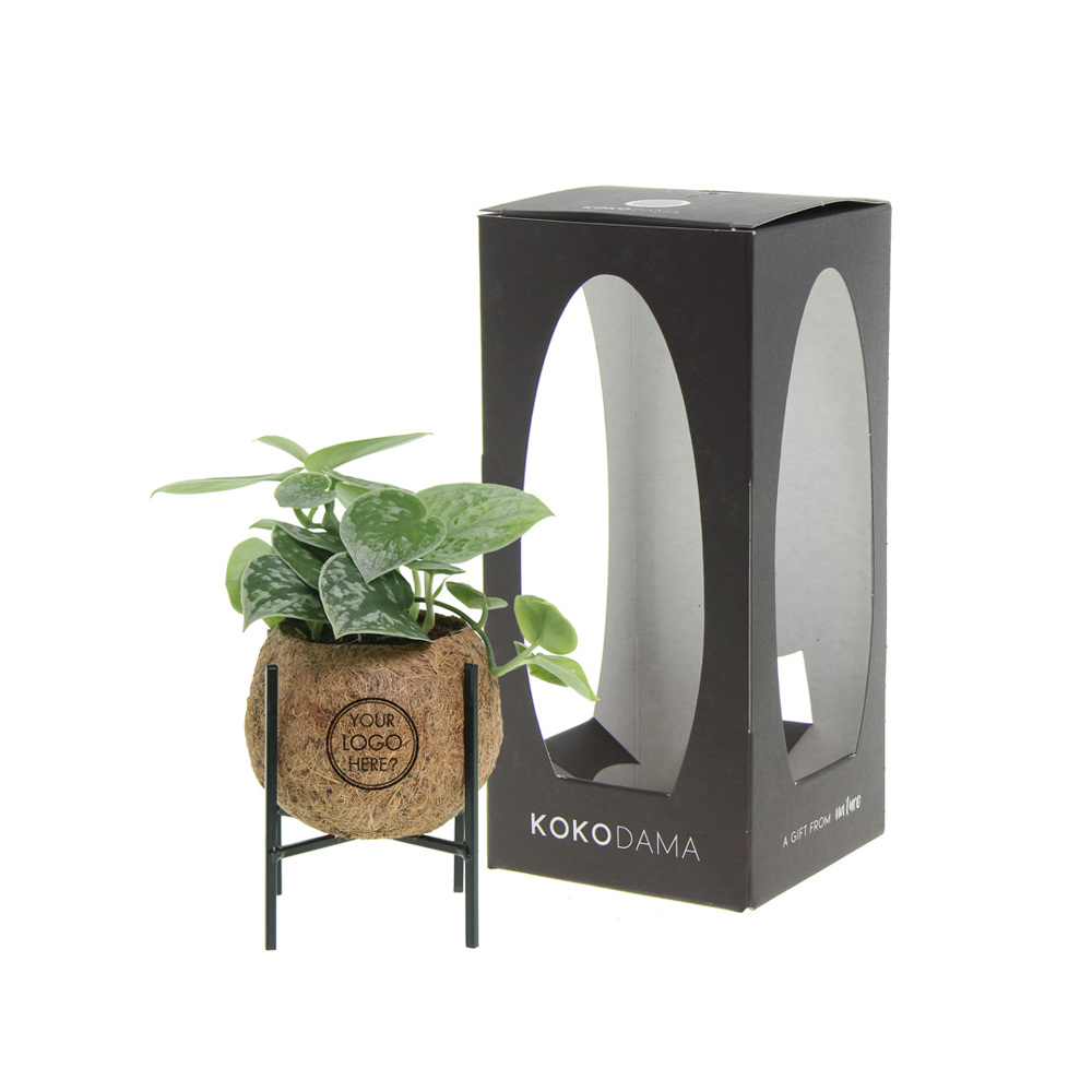 Kokodama® - Industrial green mix (S)