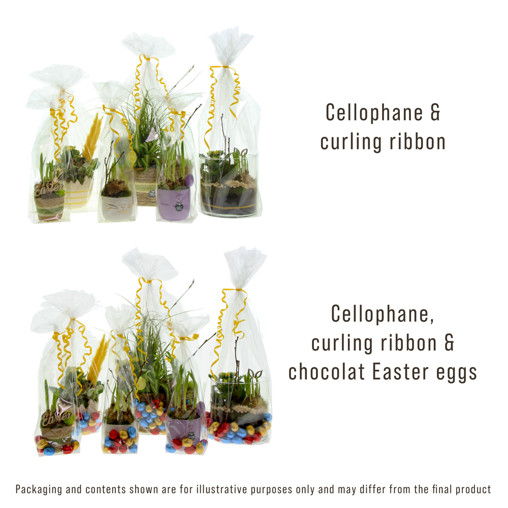 Easter wicker basket medium - Narcis, In cellofaan met chocolade eitjes