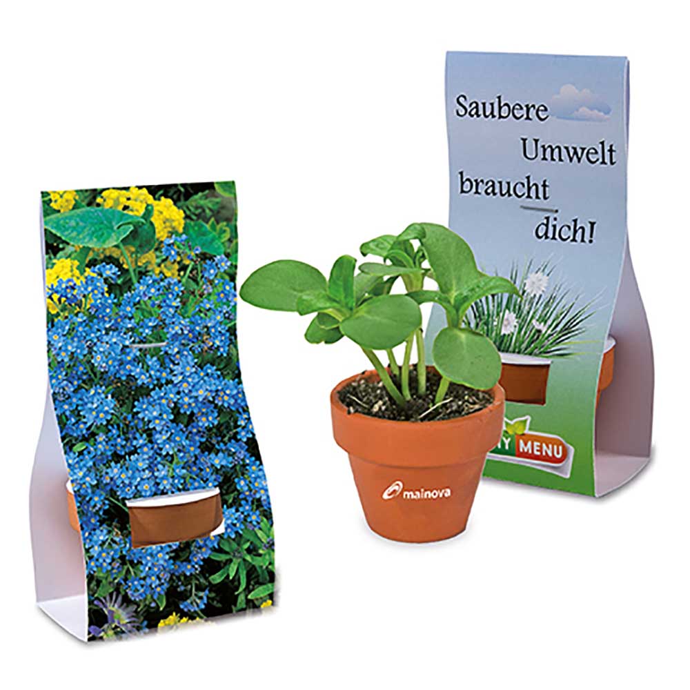 Mini bloempotje hand-over verpakking - individueel