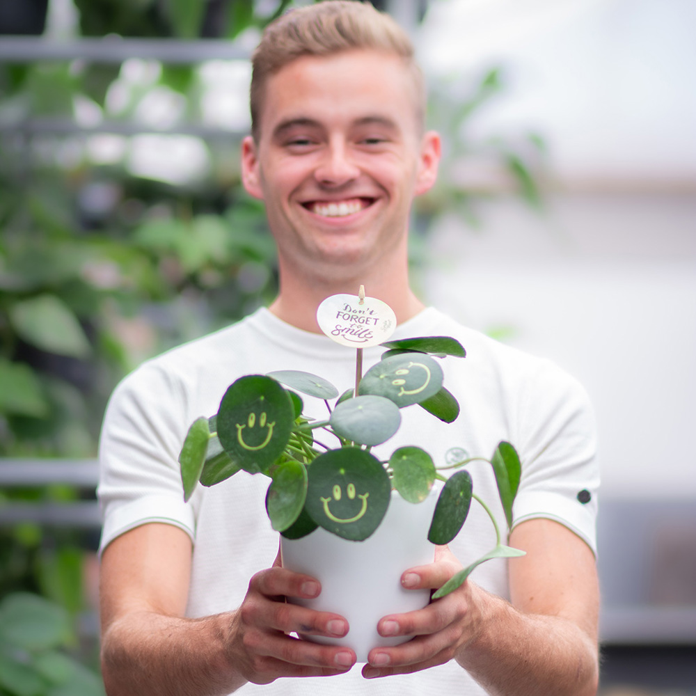 Smylieplant® - Happy in keramieke pot (large), In beschermende plantensleeve