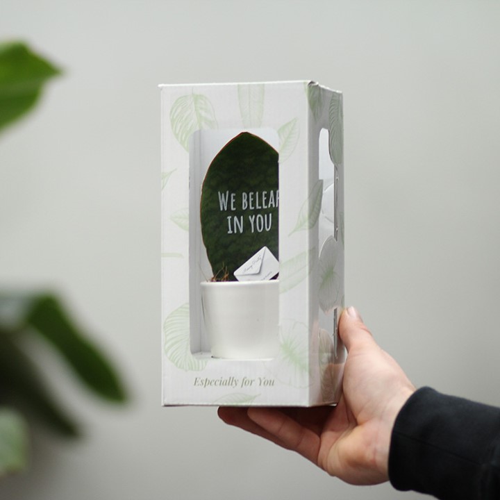 Message Printz® - Baby leaf in giftbox, In giftbox