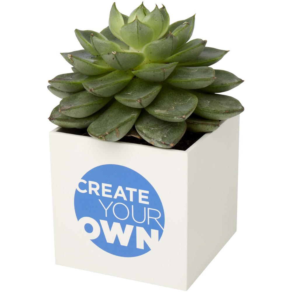 Hey Pots aluminium bloempot, vetplant