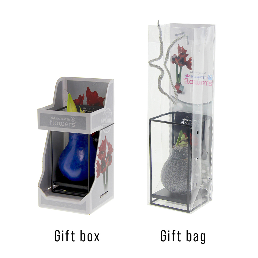No Water Flowers® - Formz industrial, In giftbag, Donkerblauw