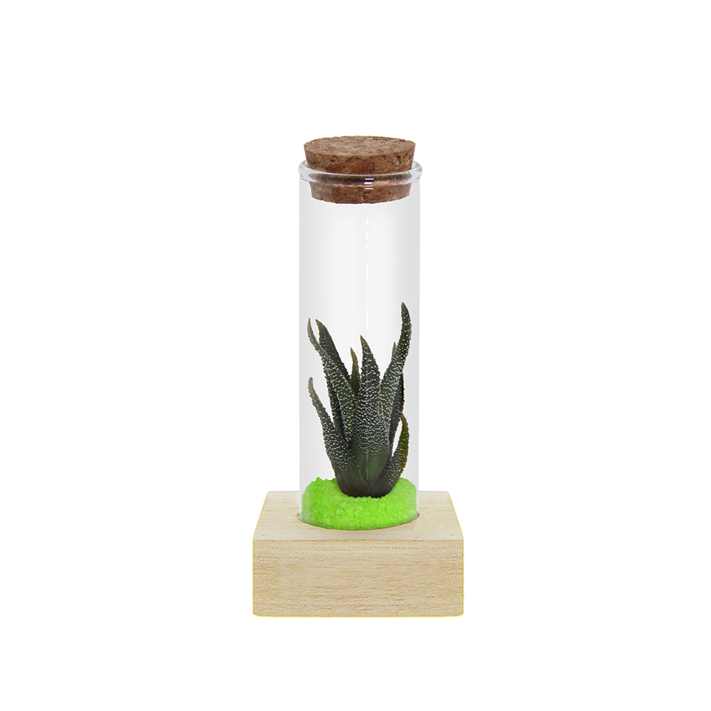 Tiny Treasurez® - Single tube & wood - Groen