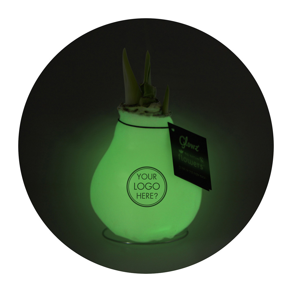 No Water Flowers® - Glowz