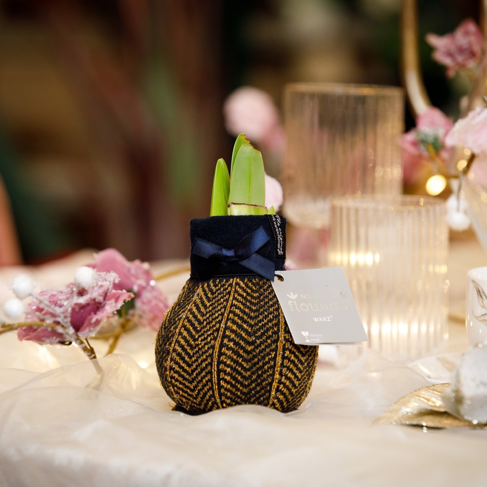 No Water Flowers® - Fashionz Elegant mix, In cilinder