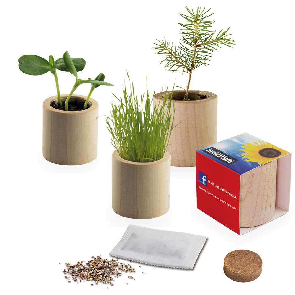 Houten plantenset rond met zaden