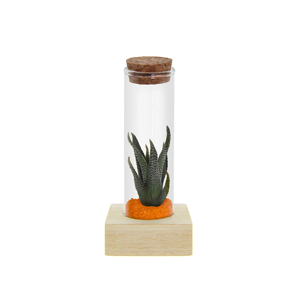 Tiny Treasurez® - Single tube & wood - Oranje