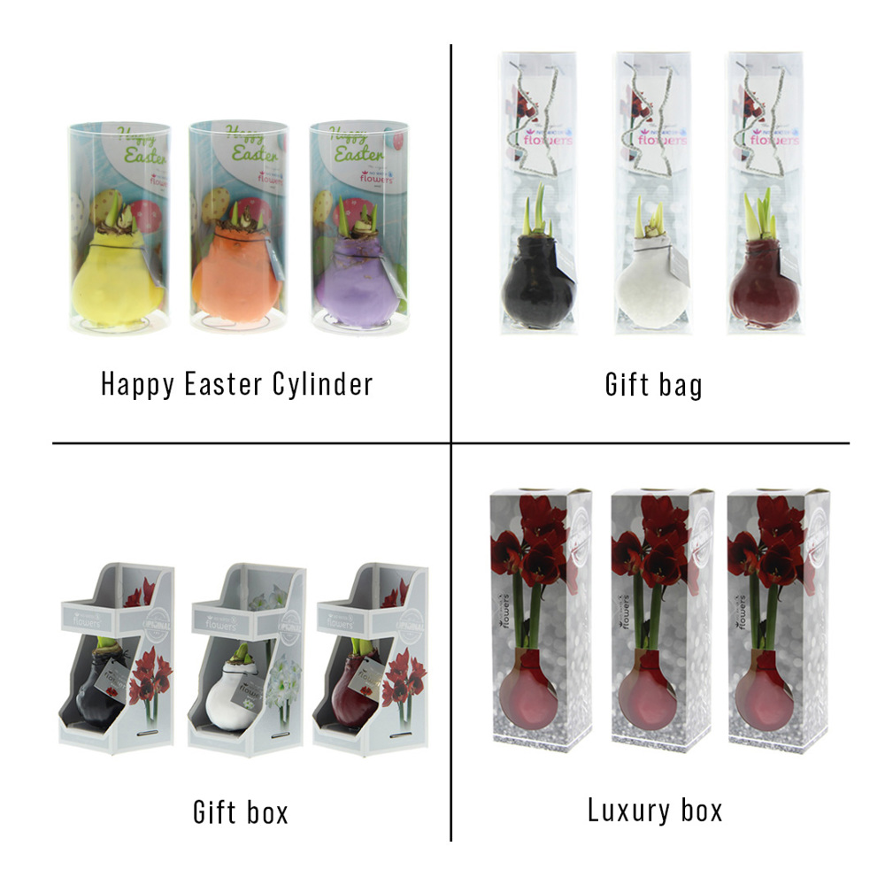 No Water Flowers® - Sugar pastel mix, In giftbag