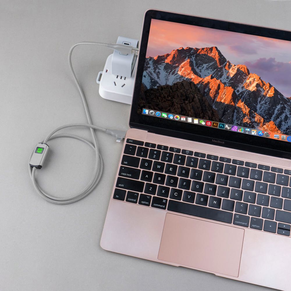 Xoopar Allure PD-kabel met gegevensoverdracht