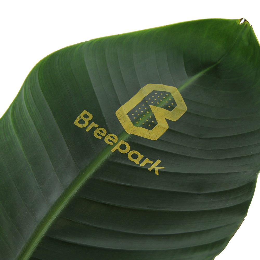 Message Printz® - Strelitzia large