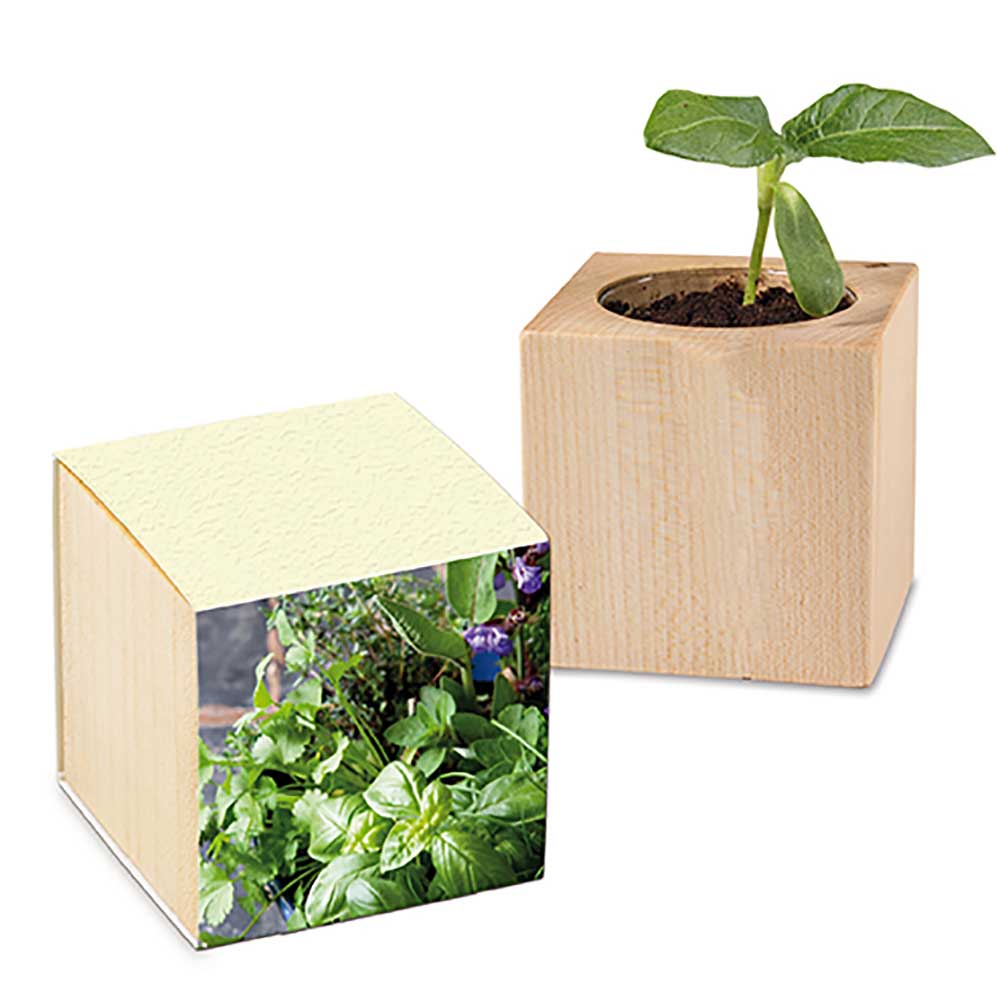 Plantenhout met zaden (papieren band van graspapier) - Kruidenmix, lasergravure 2 zijden