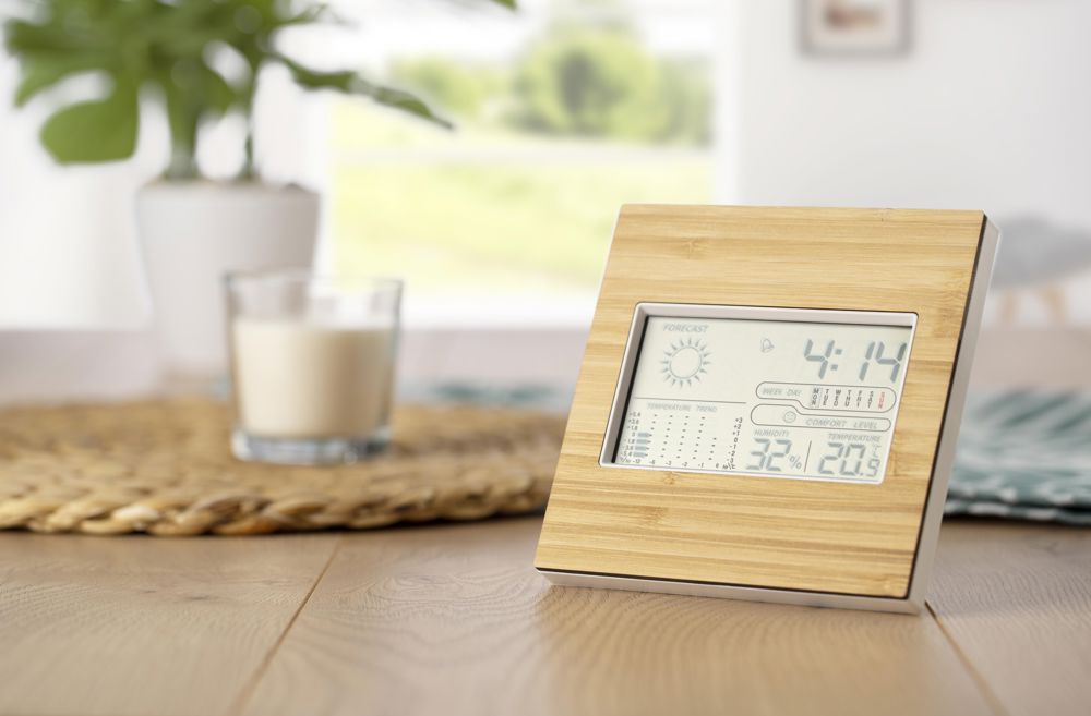 Bamboe weerstation Lia