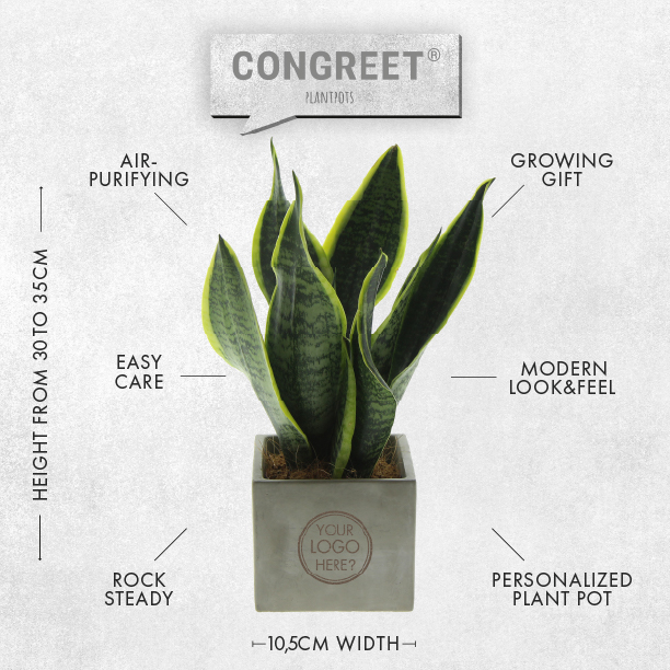 Congreet® plantpots large, In giftbox