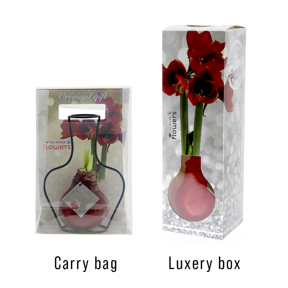 No Water Flowers® - Formz classic, In carry bag, Pastel geel