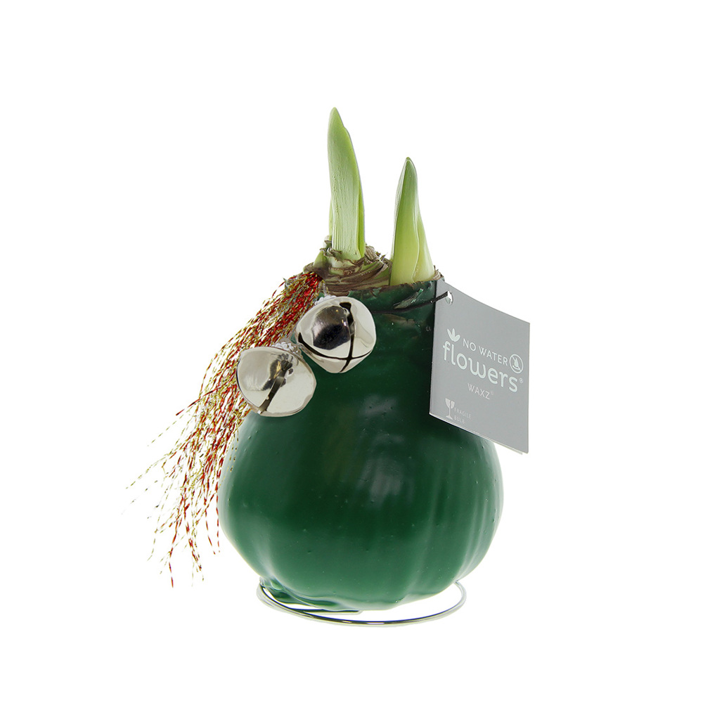 No Water Flowers® - Jingle Bellz - Donkergroen