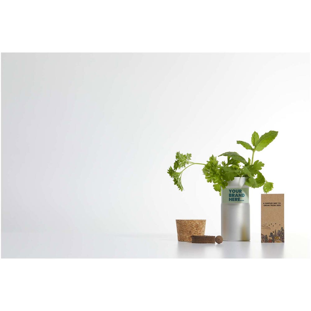 Hey Pots tuin voor op het bureau met bloemenmix