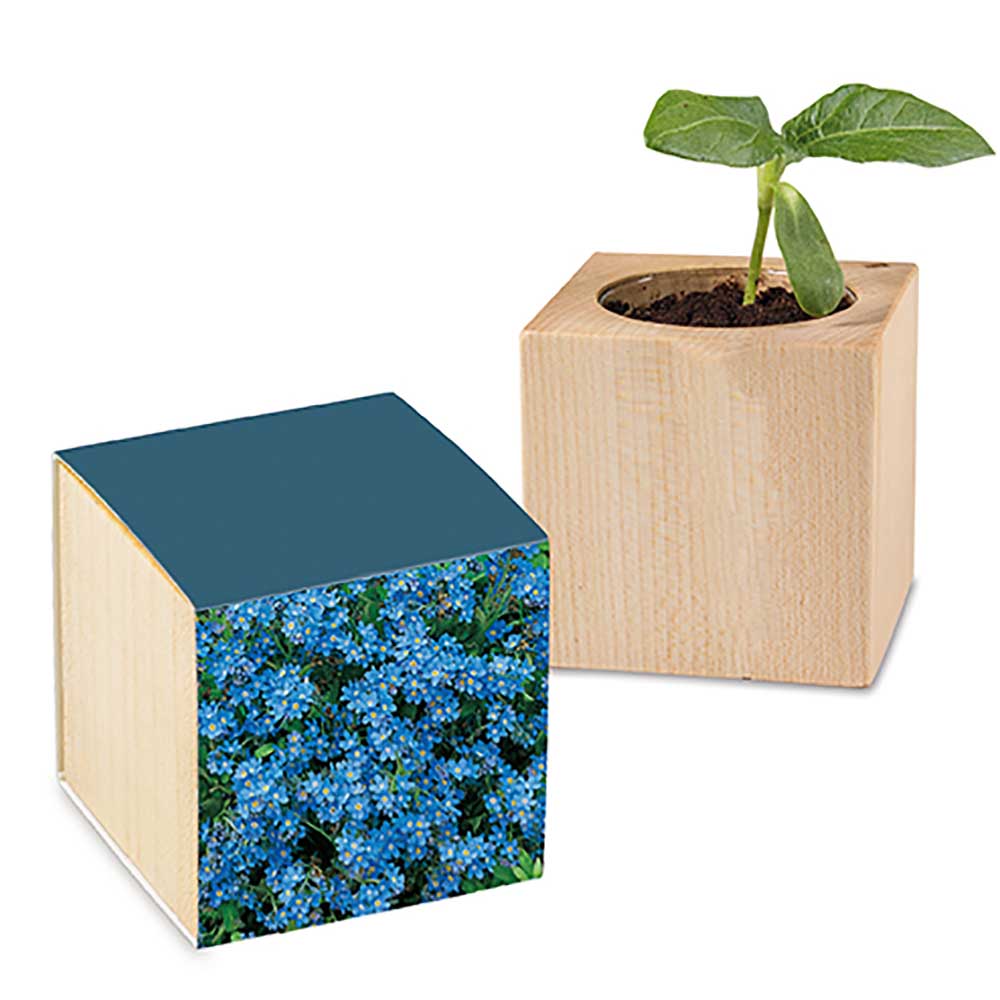 Houten plantenset met zaden - individueel