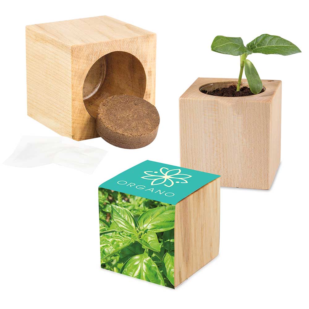 Houten plantenset Maxi met zaden - Basilicum
