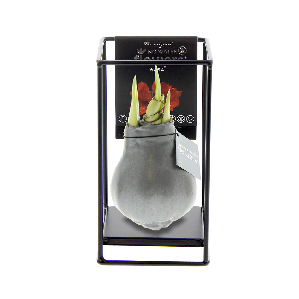 No Water Flowers® - Formz industrial - zilver