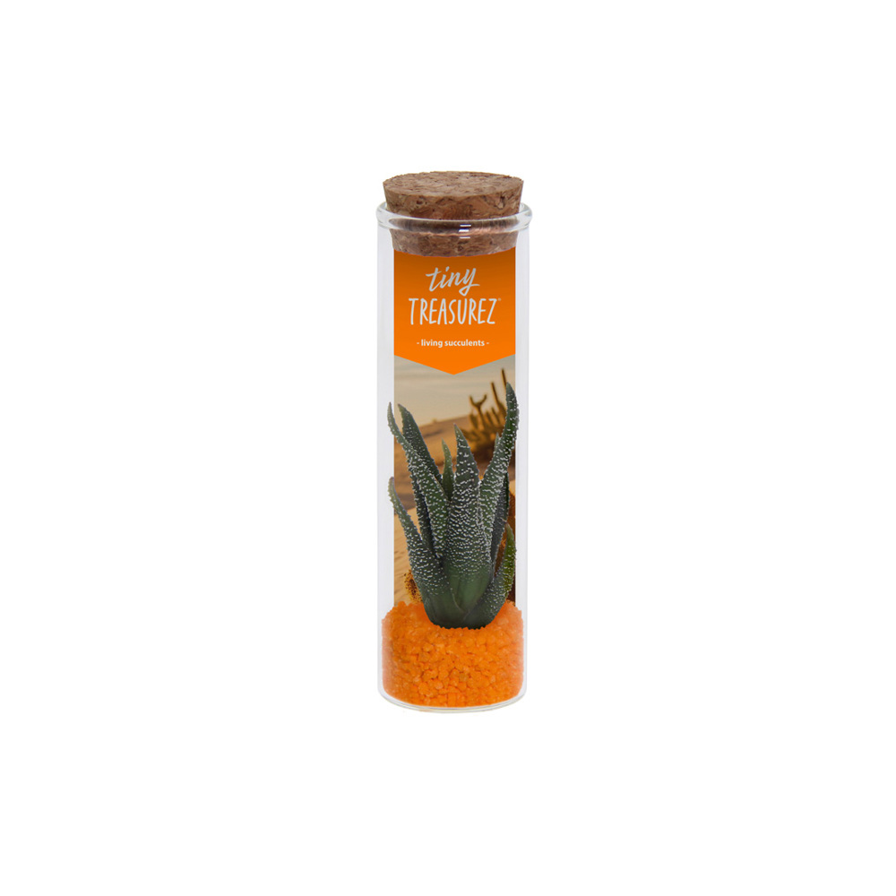 Tiny Treasurez® - Message in a bottle small - Oranje