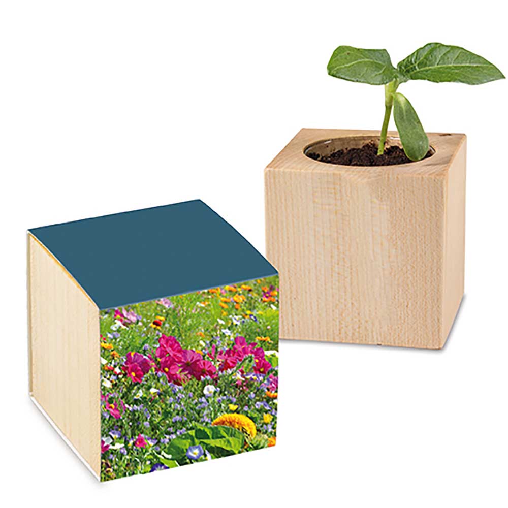 Houten plantenset met zaden - Zomerbloemen mix, lasergravure 2 zijden