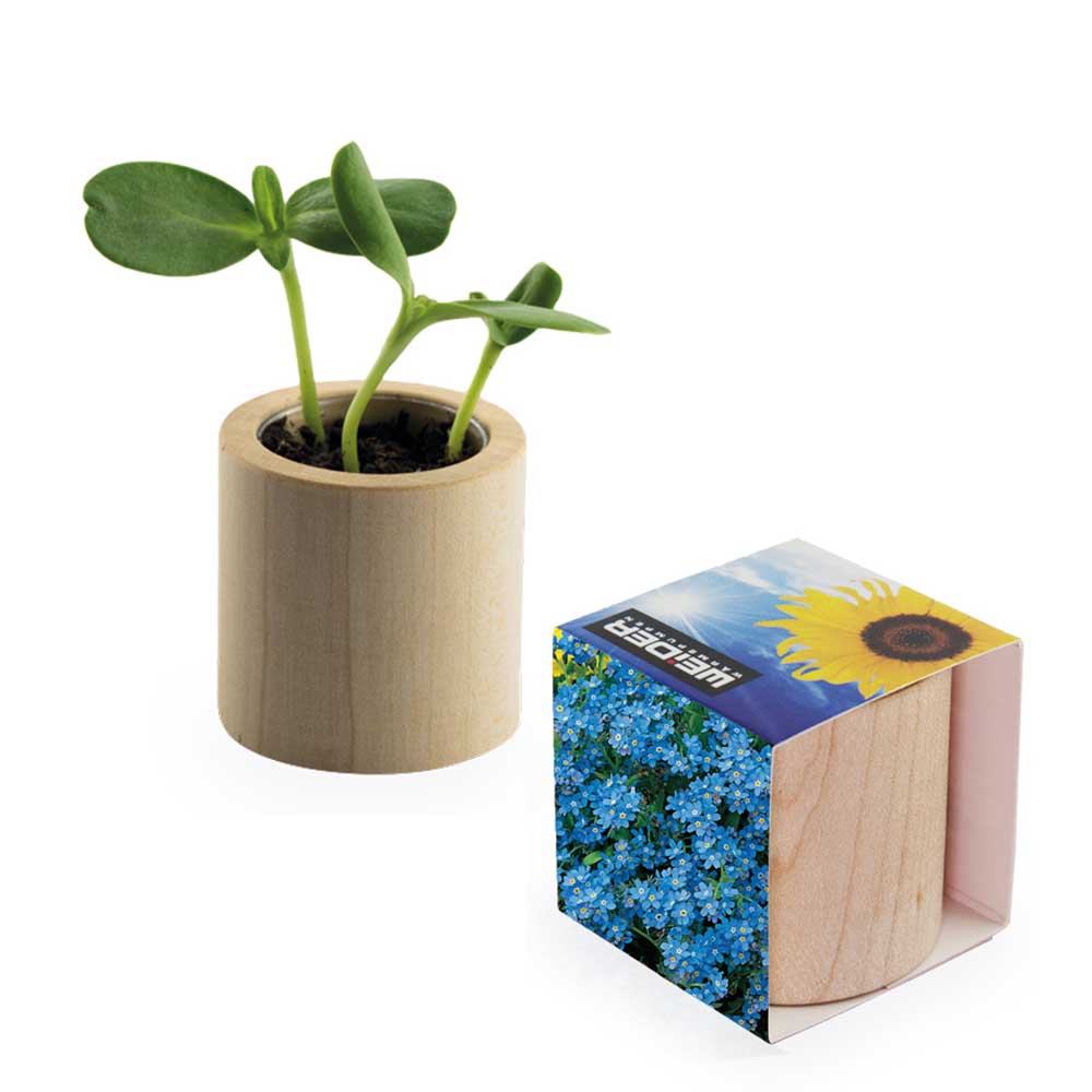 Houten plantenset rond met zaden - individueel