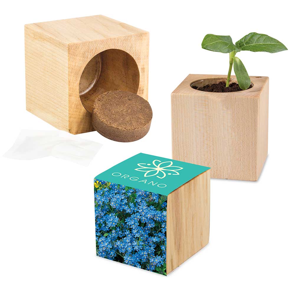 Houten plantenset Maxi met zaden - individueel