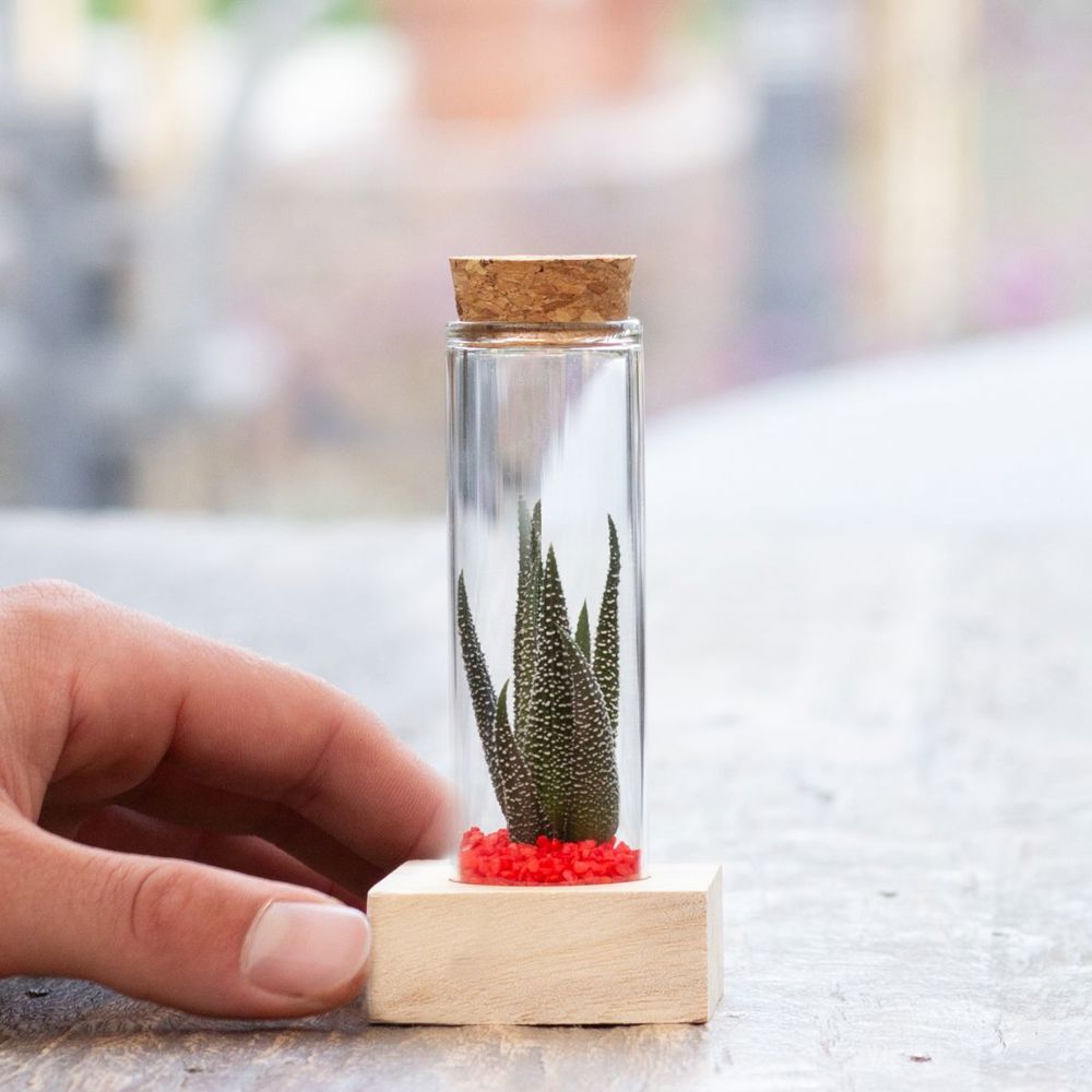 Tiny Treasurez® - Single tube & wood, Donker roze