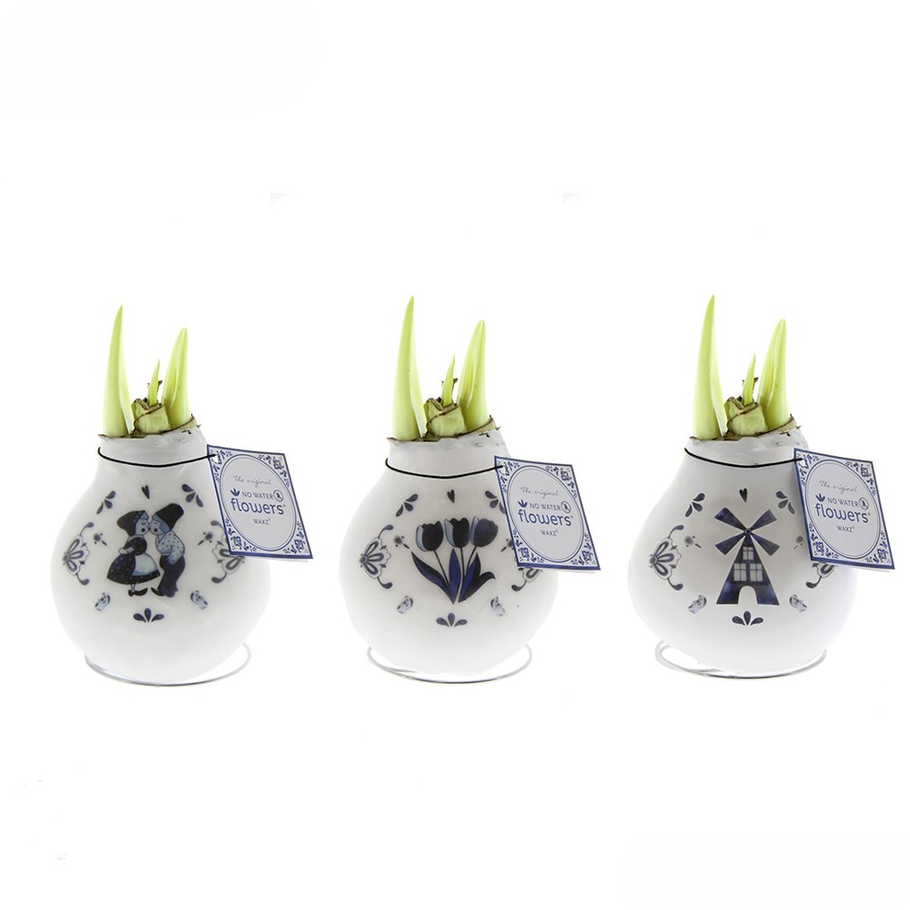 No Water Flowers® - Craftz Delft Blue mix
