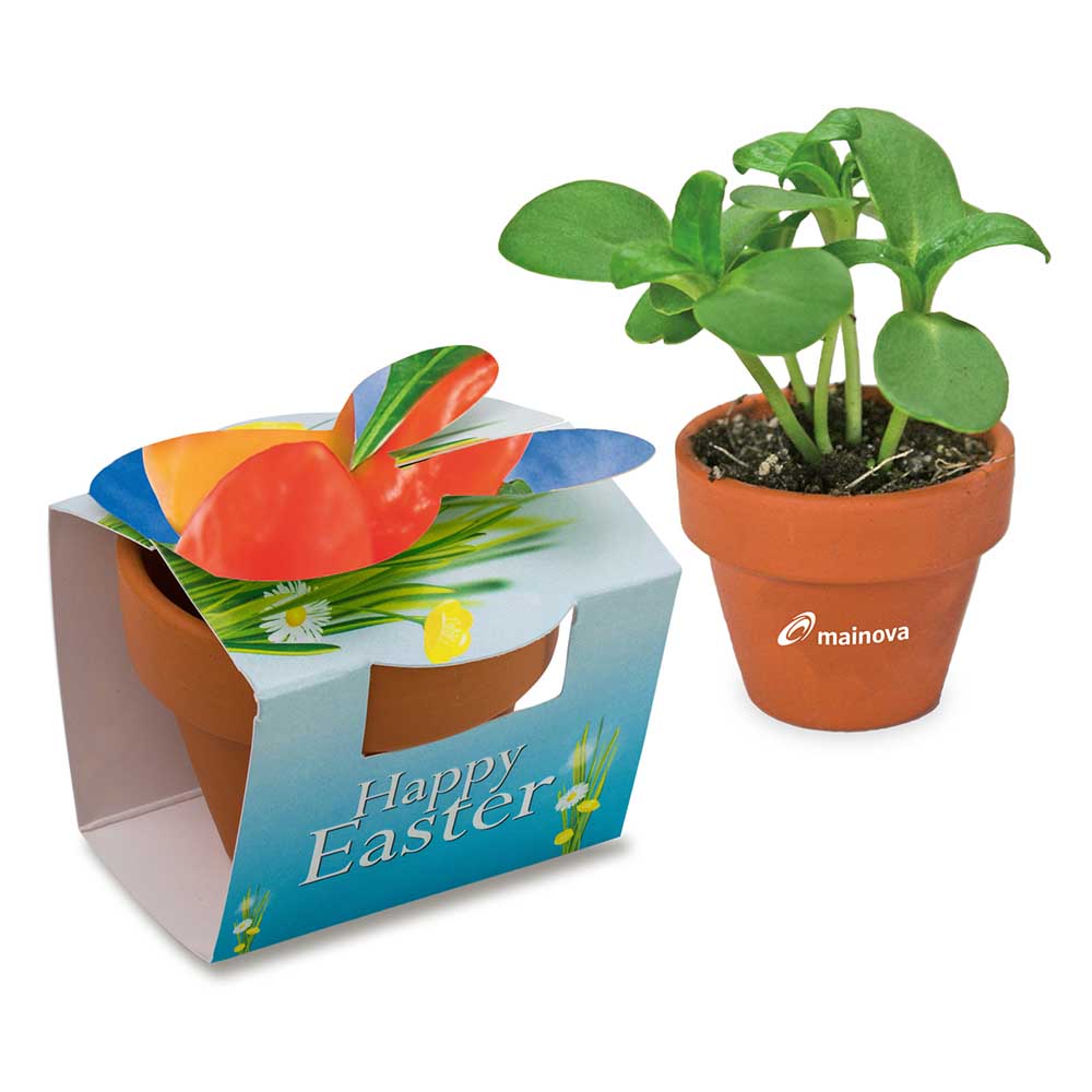 Mini plantenpot konijn met zaden - Paprika Incl. Tampondruk