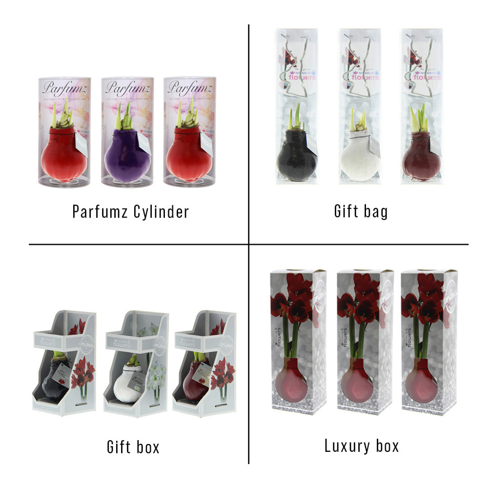 No Water Flowers® - Parfumz, In luxury box, Cherry (rood)